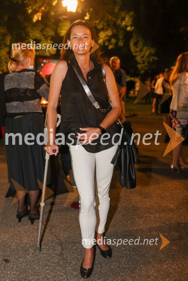 56. Festival Borštnikovo srečanje, otvoritev