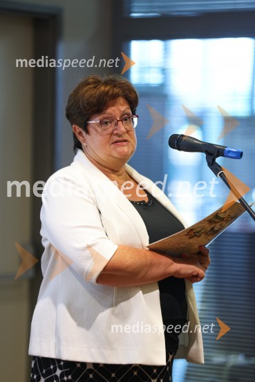 Izgradnja doma upokojencev Kranj, natečajne rešitve