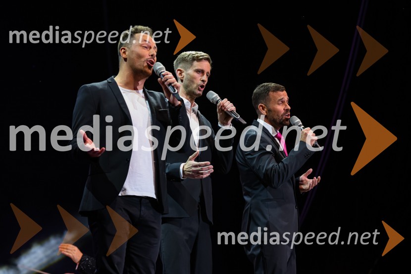  Mihael Strniša, Eroika Aromatika;  Gašper Banovec, Eroika Aromatika;  Blaž Gantar, tenoristPoletna noč 2021, poklon Tadeju Hrušovarju