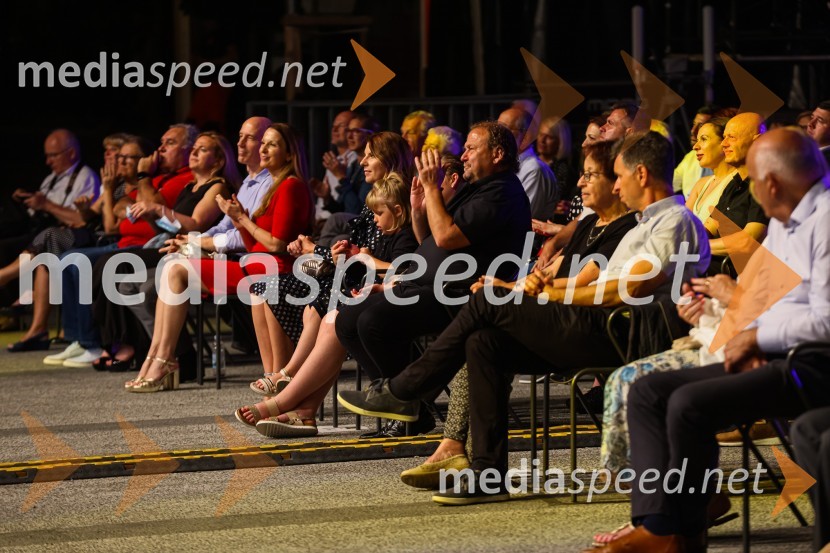  Darko  Brlek, direktor in umetniški vodja, Festival LjubljanaPoletna noč 2021, poklon Tadeju Hrušovarju