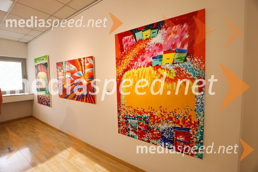 Franc Novinc, razstava Harmonija barvne uglašenosti, Generali galerija