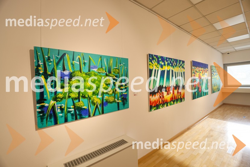 Franc Novinc, razstava Harmonija barvne uglašenosti, Generali galerija