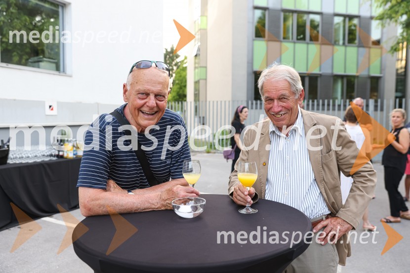  ... ; Dr. Tomaž TomaževičFranc Novinc, razstava Harmonija barvne uglašenosti, Generali galerija