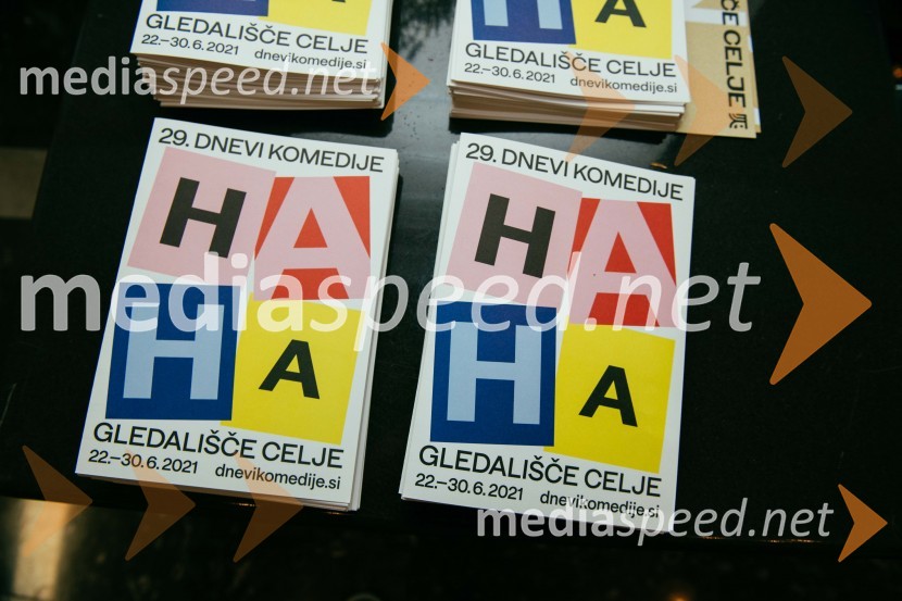 29. festival Dnevi komedije, zaključek in podelitev nagrad