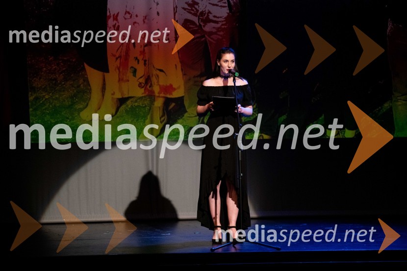 29. festival Dnevi komedije, zaključek in podelitev nagrad