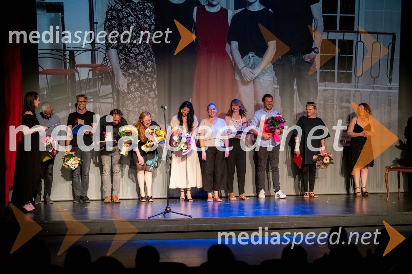 29. festival Dnevi komedije, zaključek in podelitev nagrad