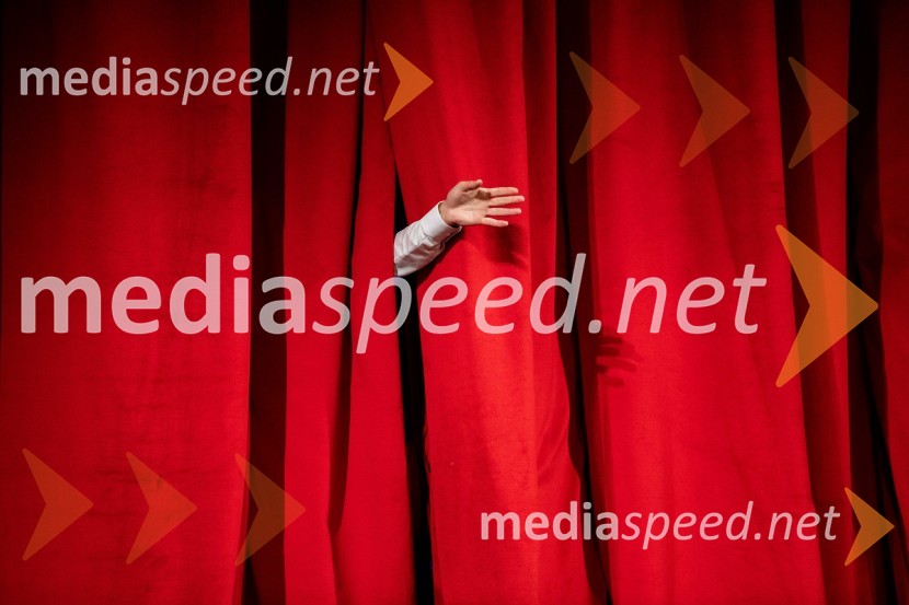 29. festival Dnevi komedije, zaključek in podelitev nagrad