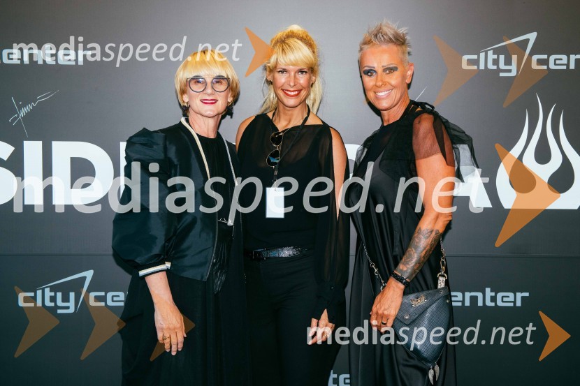 Velik koncert Siddharte, Citycenter Celje