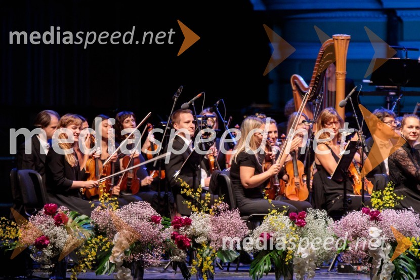 Carmen, koncertna izvedba opere, Ljubljana Festival