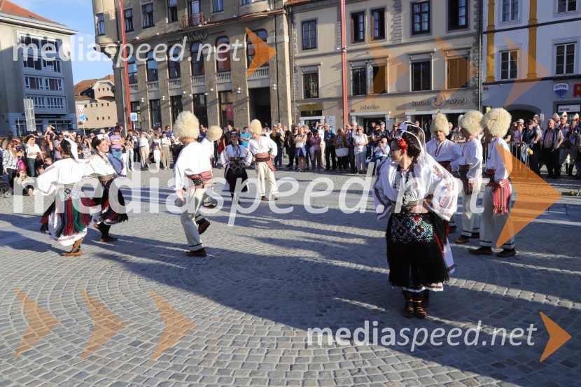 Festival Lent 2021, 7.dan