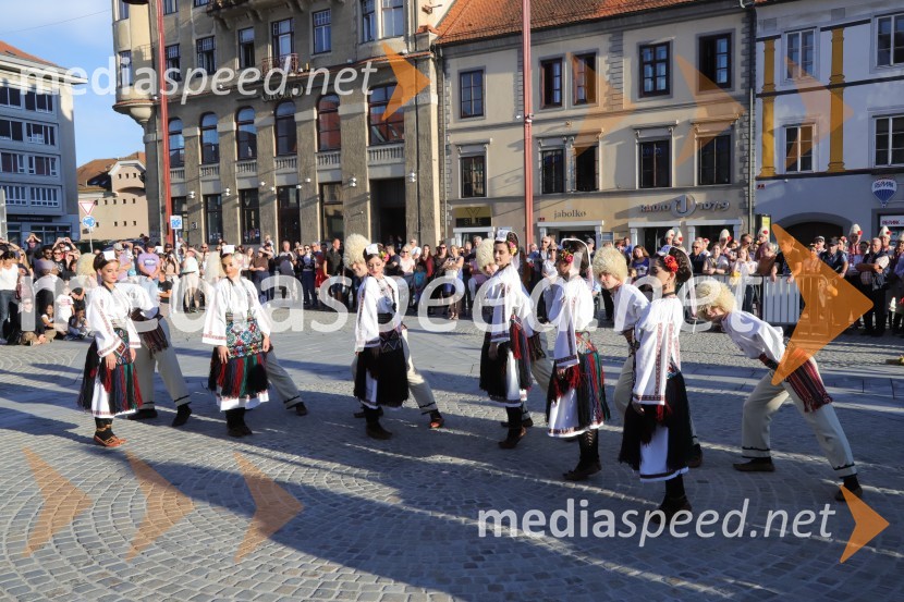 Festival Lent 2021, 7.dan