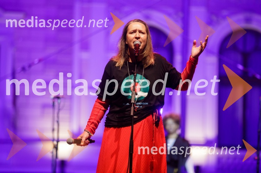 Nosil bom rdečo zvezdo