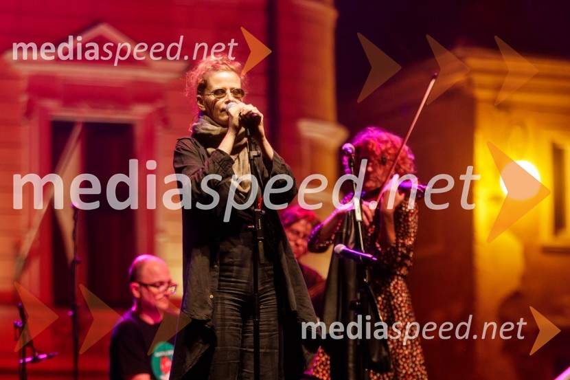 Nosil bom rdečo zvezdo