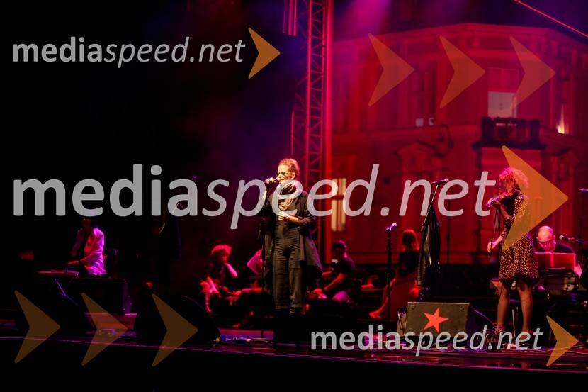 Nosil bom rdečo zvezdo