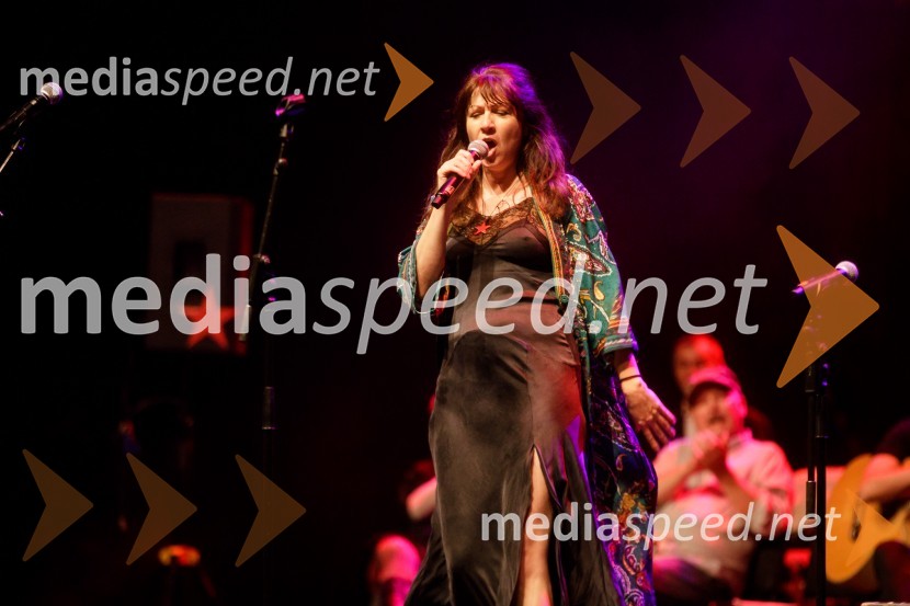 Nosil bom rdečo zvezdo