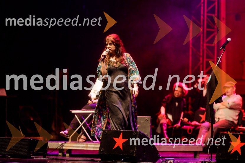 Nosil bom rdečo zvezdo