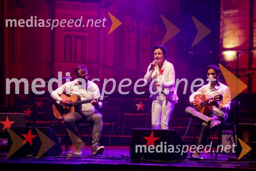 Nosil bom rdečo zvezdo