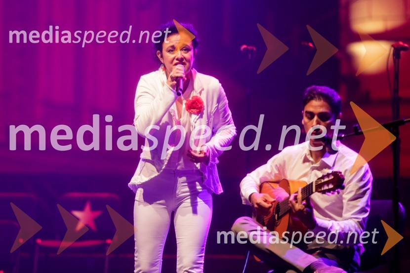 Nosil bom rdečo zvezdo