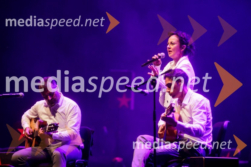 Nosil bom rdečo zvezdo