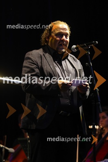  Darko  Brlek, direktor in umetniški vodja, Festival LjubljanaDantejevih 700 in filmska glasba Nicole Piovanija, Festival Ljubljana