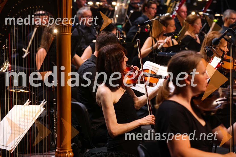 Plácido Domingo, Festival Ljubjana