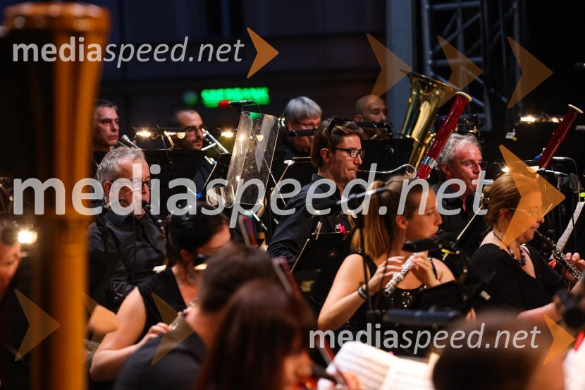 Plácido Domingo, Festival Ljubjana