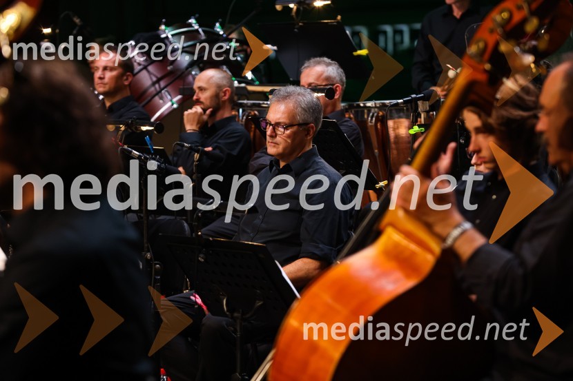 Plácido Domingo, Festival Ljubjana