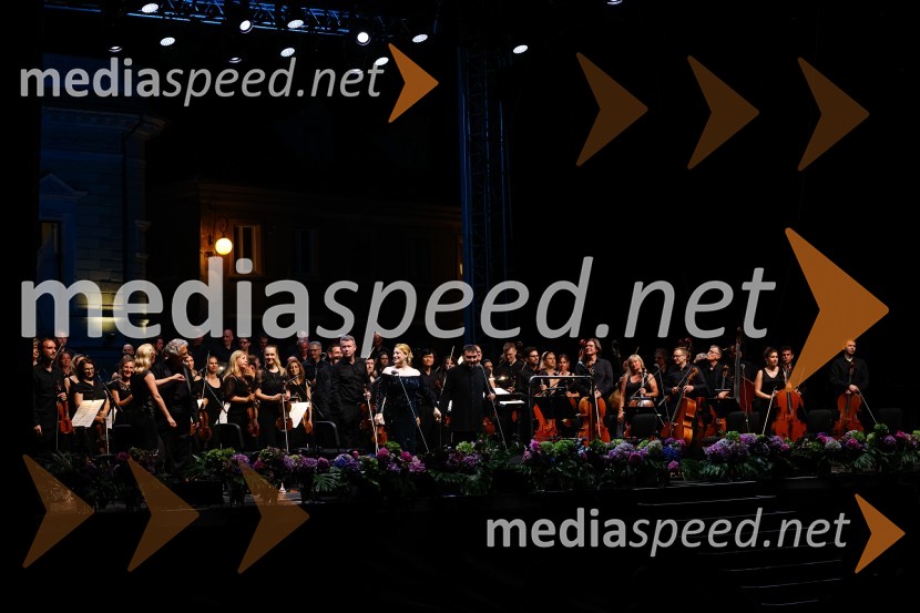 Plácido Domingo, Festival Ljubjana