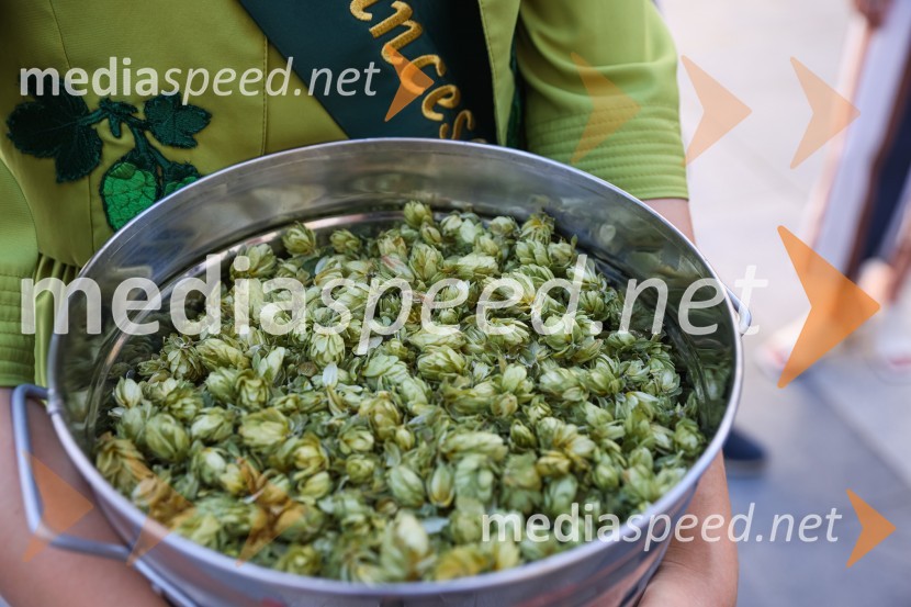 Pivo in cvetje 2021, petek