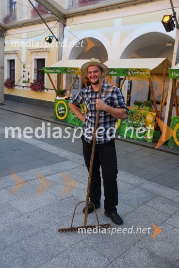 Pivo in cvetje 2021, petek