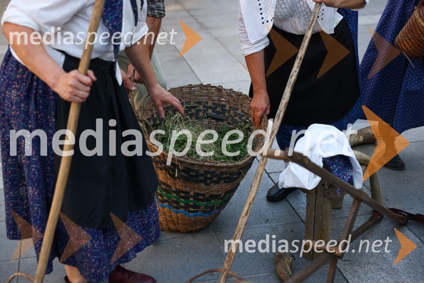 Pivo in cvetje 2021, petek