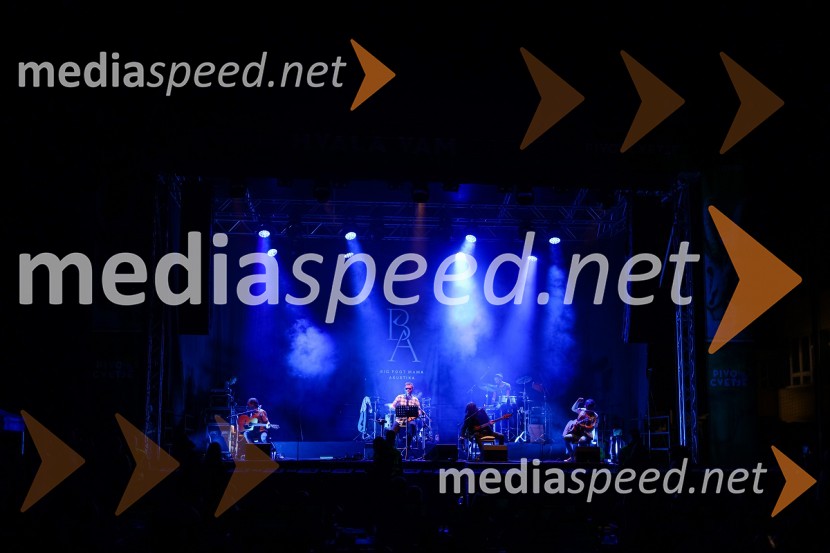 Pivo in cvetje 2021, petek