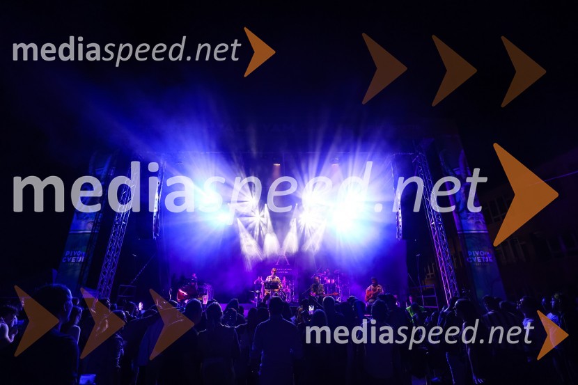 Pivo in cvetje 2021, petek