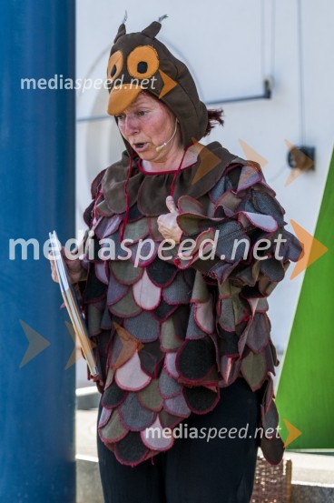 Pivo in cvetje 2021, petek