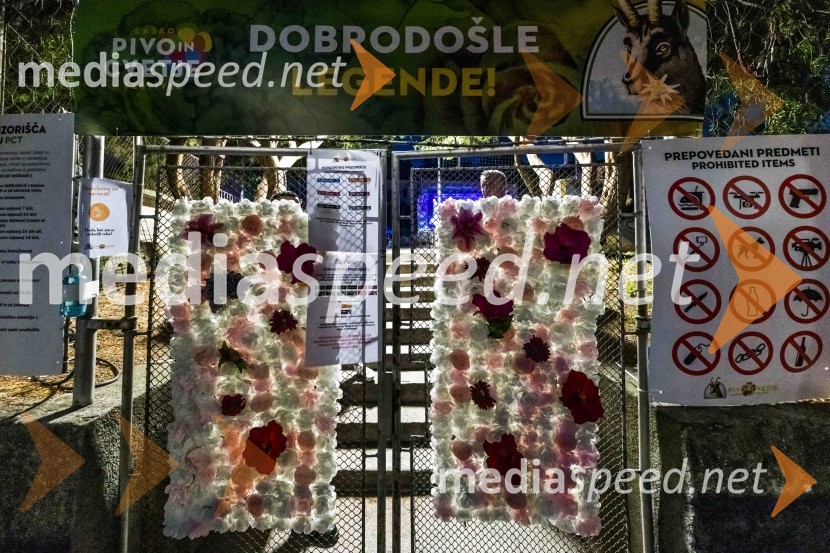 Pivo in cvetje 2021, petek