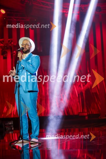  Tomaž Hostnik, glasbenik, The Woodlanders 40. Melodije morja in sonca 2021