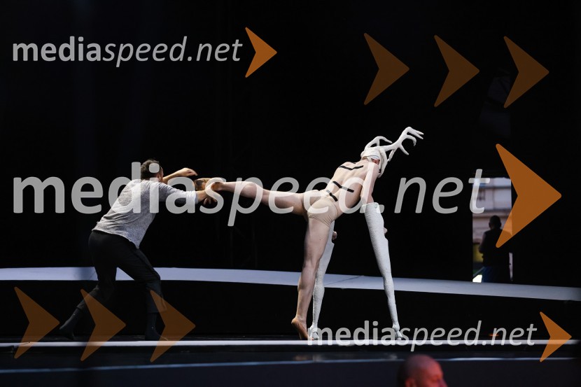  ... ;  Sytze Jan Luske, baletni plesalecPeer Gynt, balet v izvedbi Opere SNG Maribor, v okviru 69. Ljubljana Festivala