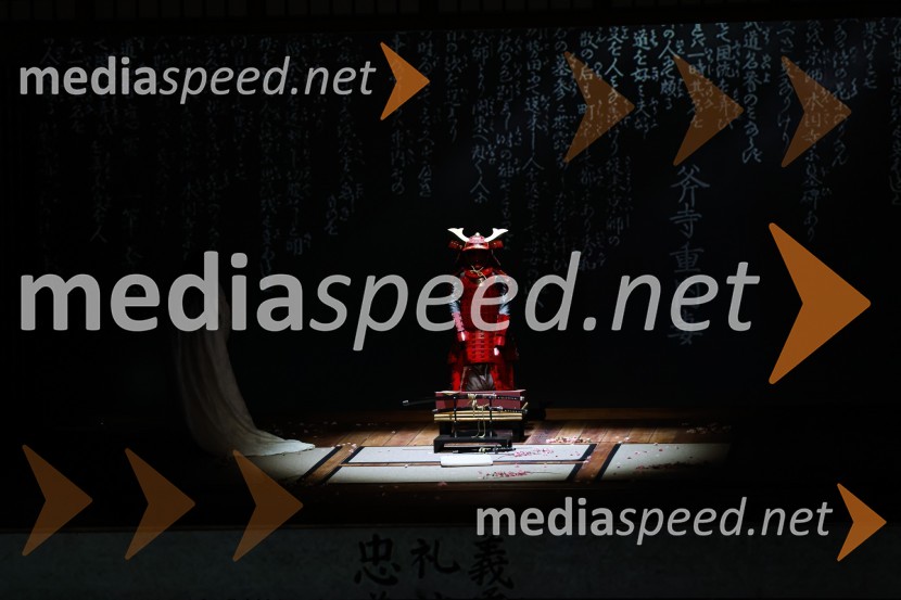 Madama Butterfly, opera v sklopu 69. Ljubljana Festivala