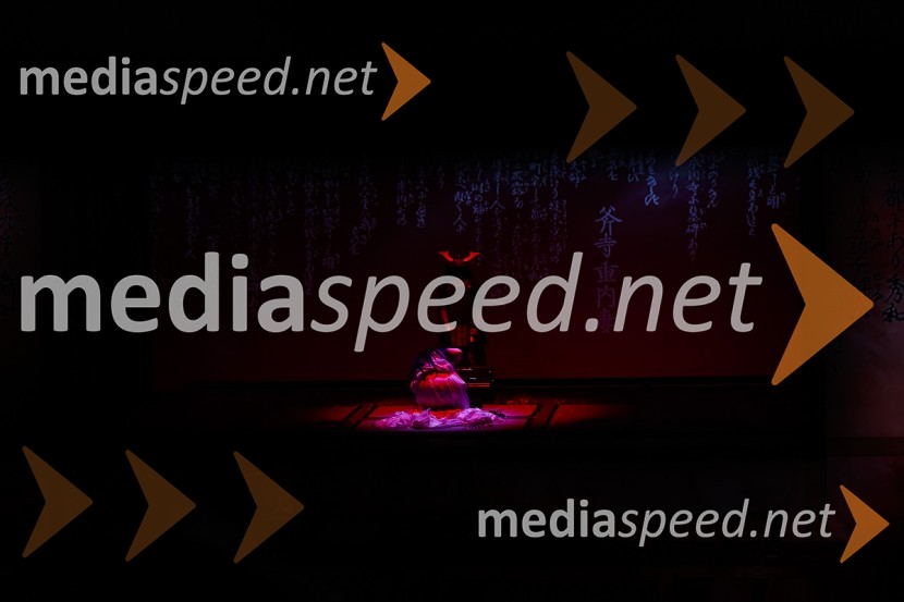 Madama Butterfly, opera v sklopu 69. Ljubljana Festivala