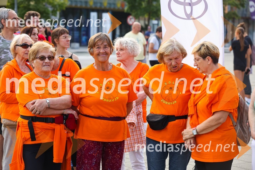 Slovenska bakla v Kranju