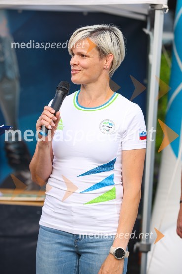 Slovenska bakla v Kranju