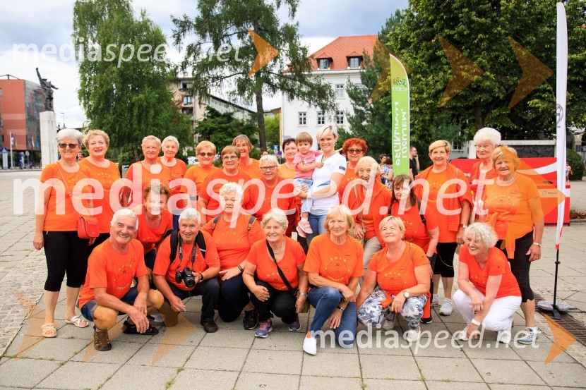 Slovenska bakla v Kranju