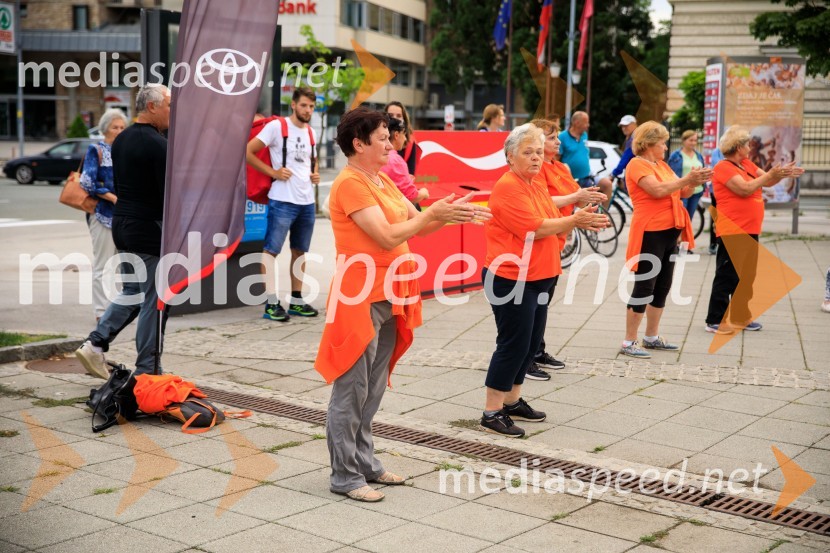 Slovenska bakla v Kranju