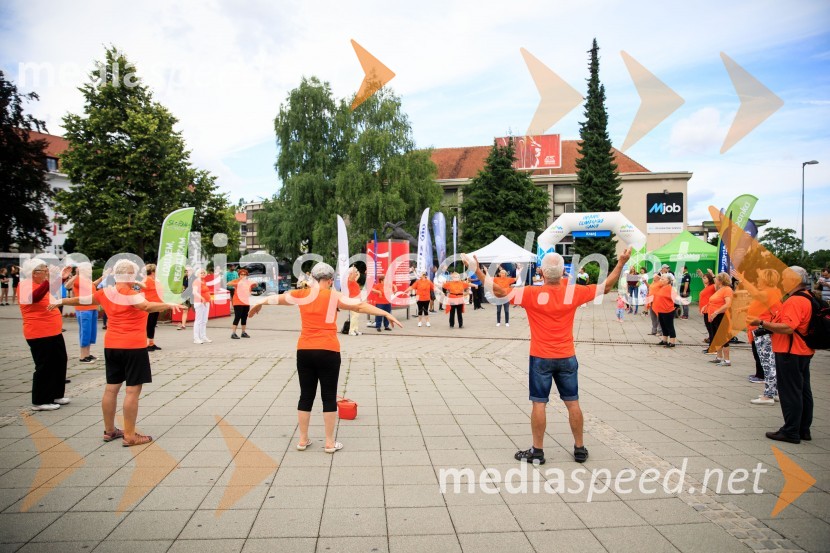Slovenska bakla v Kranju