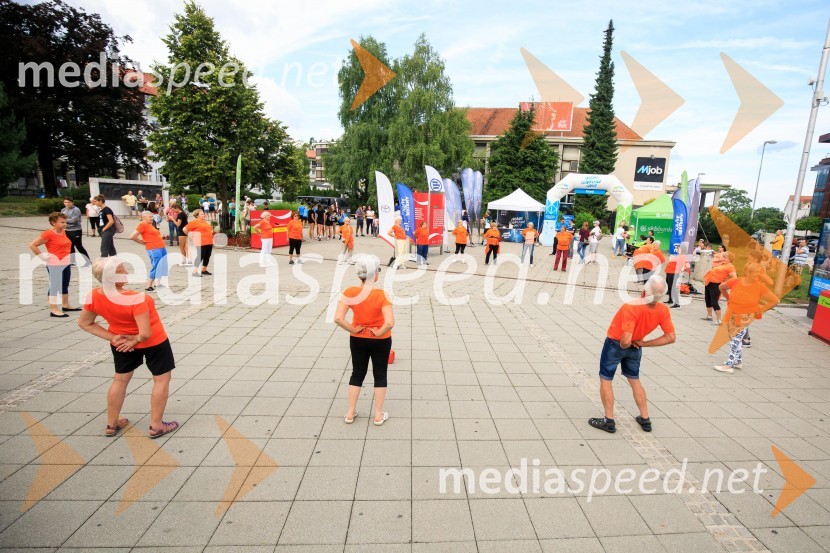 Slovenska bakla v Kranju