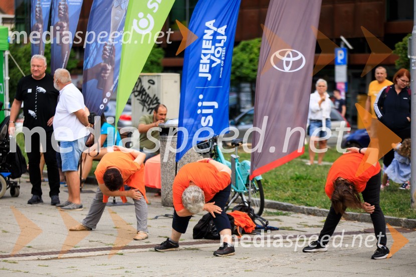 Slovenska bakla v Kranju