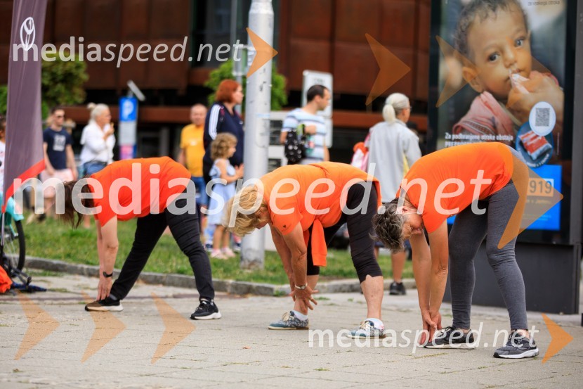 Slovenska bakla v Kranju