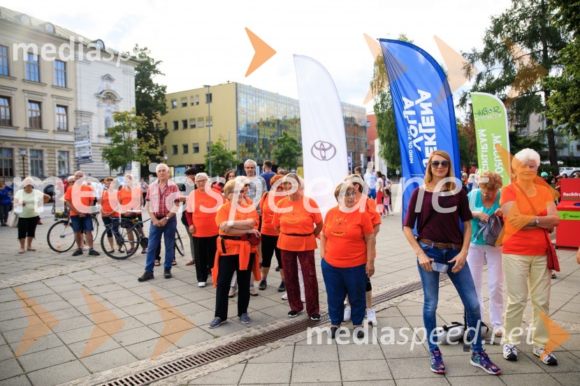Slovenska bakla v Kranju