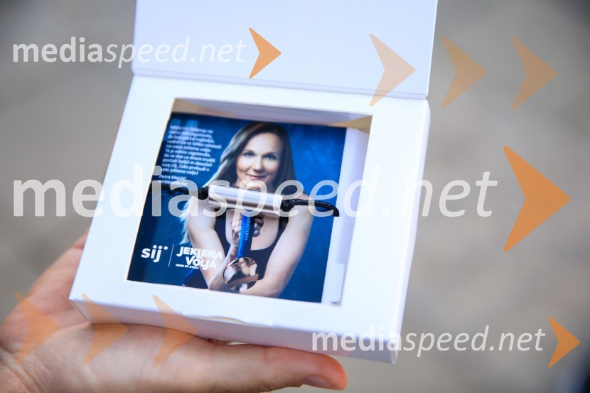 Slovenska bakla v Kranju