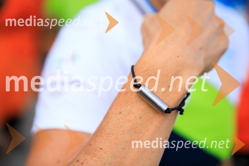 Slovenska bakla v Kranju